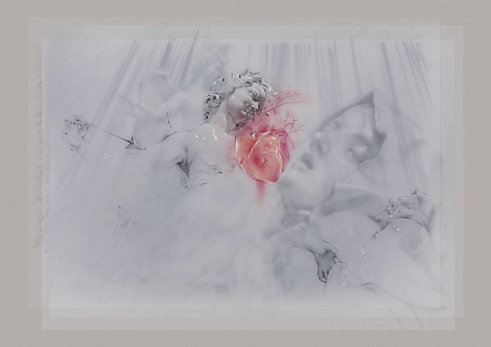 Teresa's heart