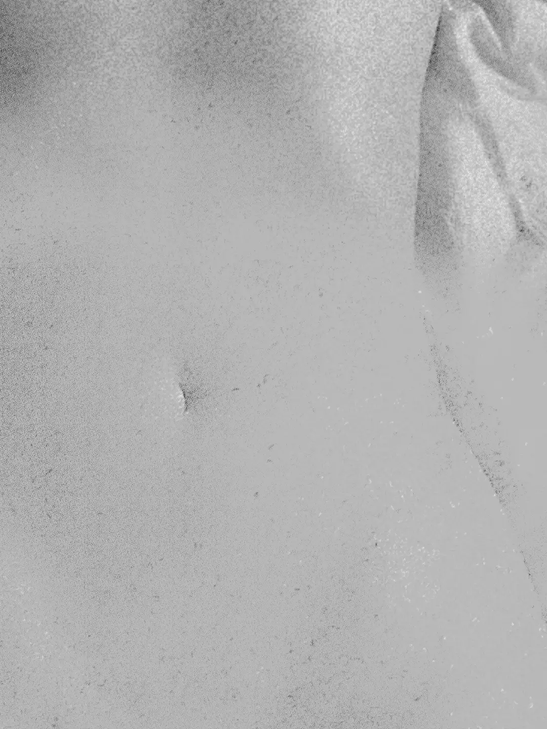 Dettaglio ravvicinato della texture nell'opera Ecce Femina: la moltitudine di segni e punti meticolosi che compongono l'anatomia
