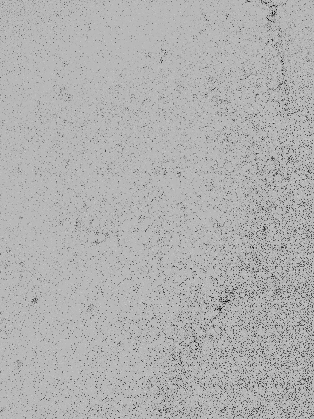 Studio dei chiaroscuri microscopici e della stratificazione di tracce stampate su carta cotone, Ecce Femina