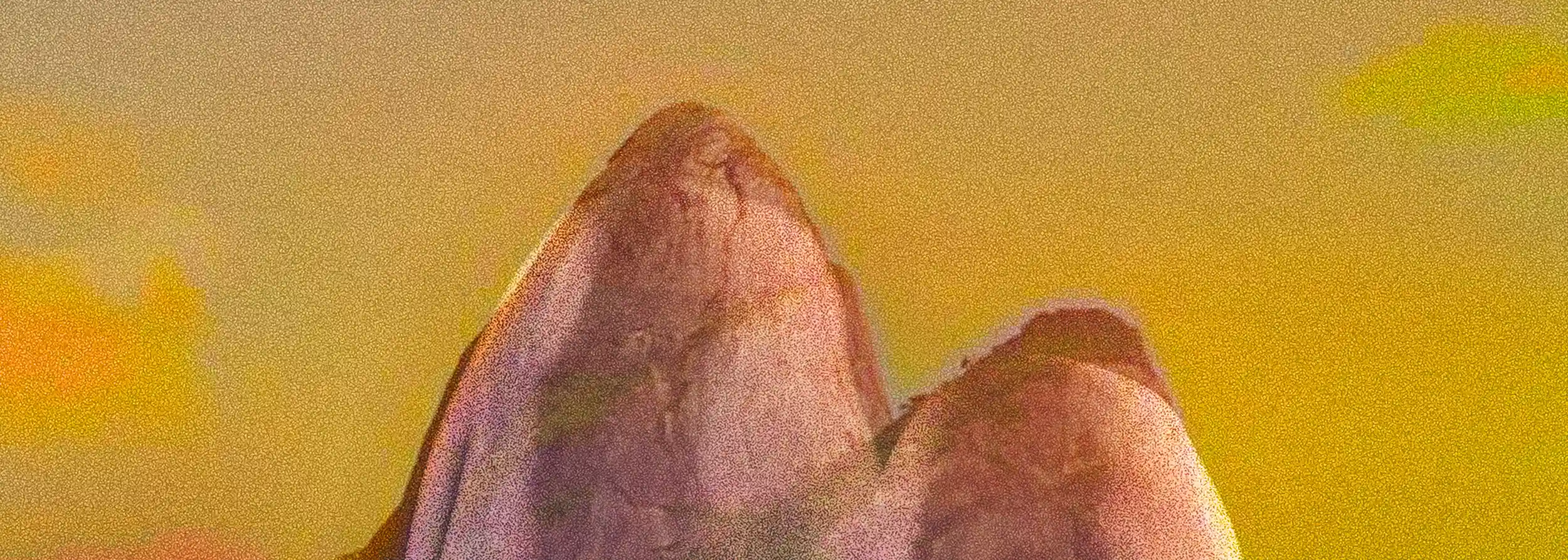 Dettaglio ravvicinato di Saudade: la texture della pittura digitale esalta la fusione visiva tra corpo e roccia